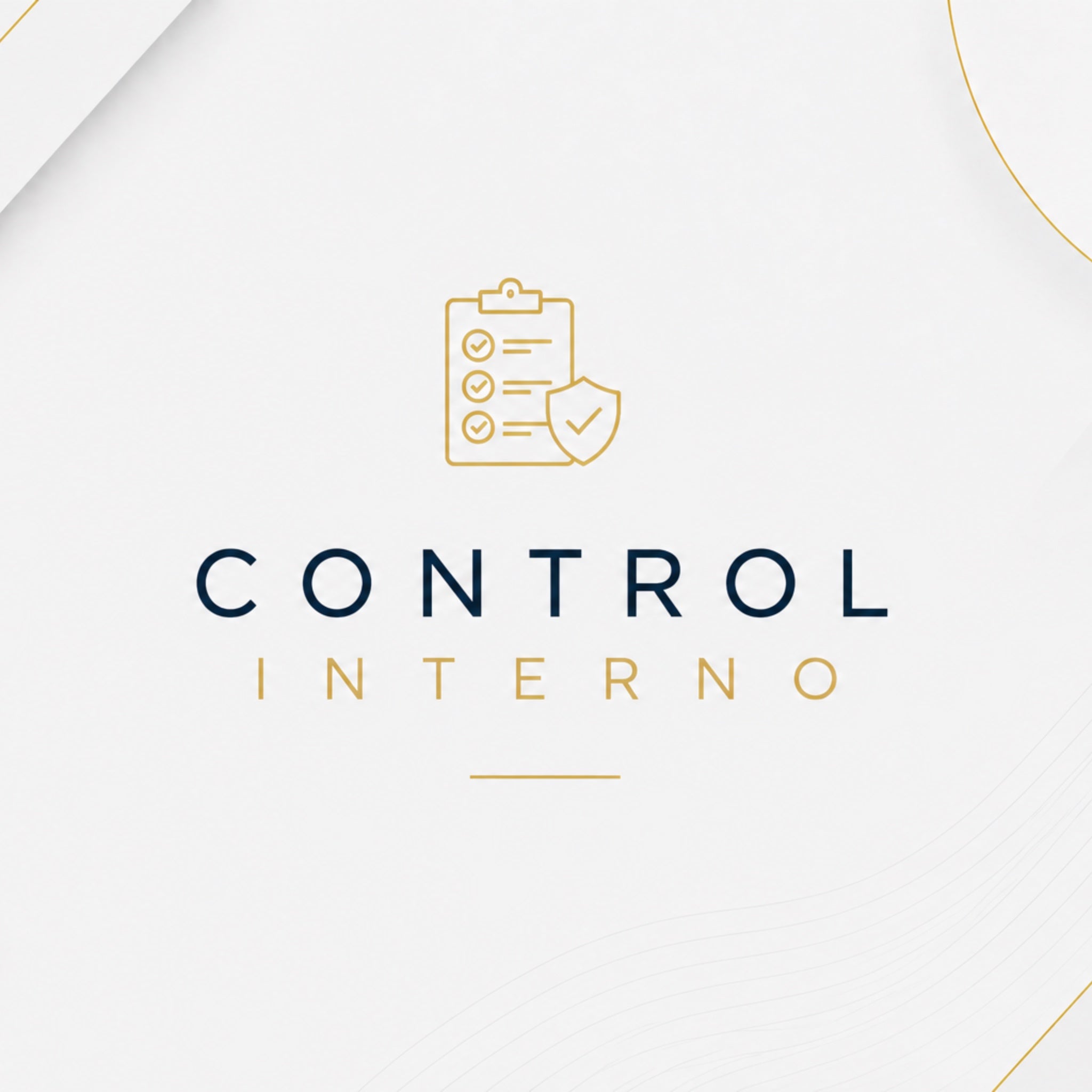 Control Interno