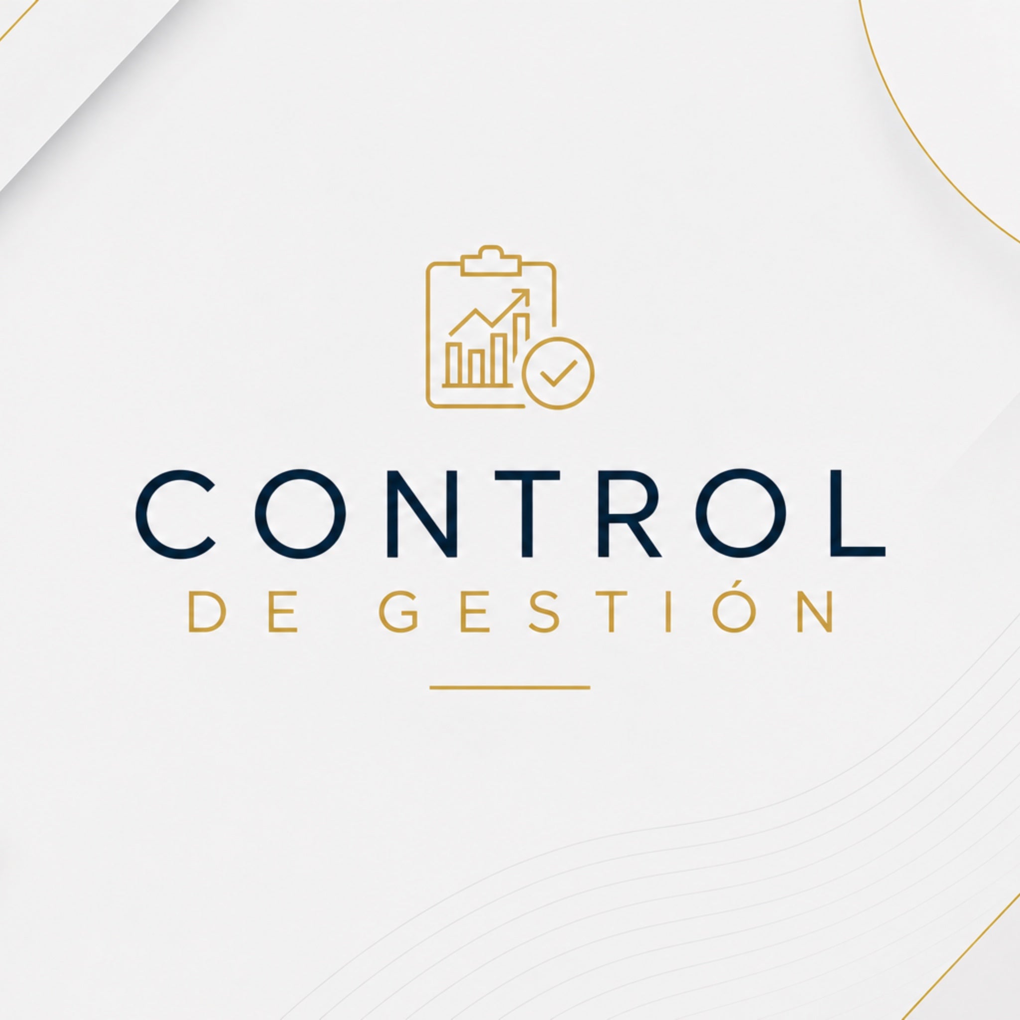 Control de Gestión